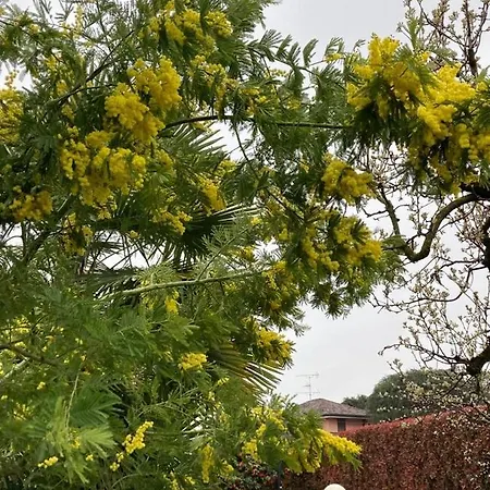 Appartamento Un Bell Incontro Borgo Ticino