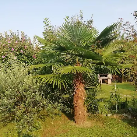 Un Bell Incontro 아파트