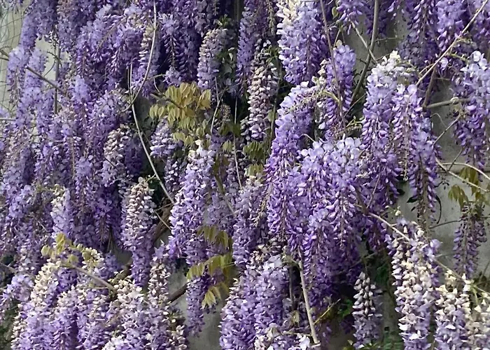 Un Bell Incontro * Borgo Ticino