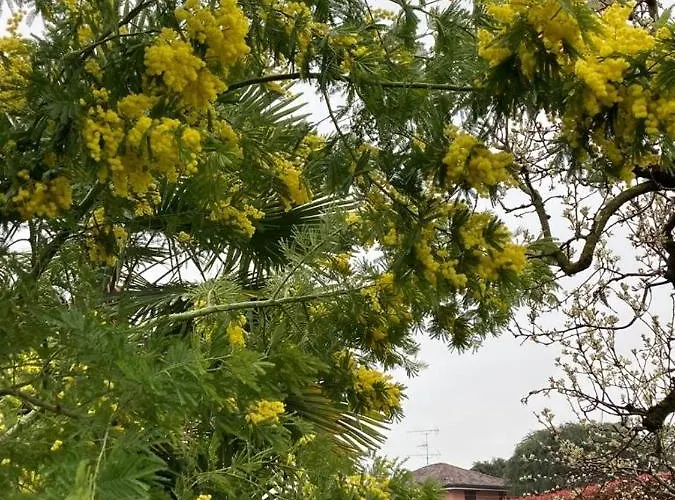 דירה Un Bell Incontro Borgo Ticino