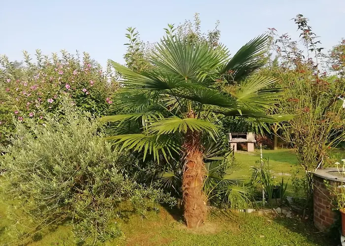 Un Bell Incontro Appartement